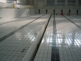 �Œ菰������